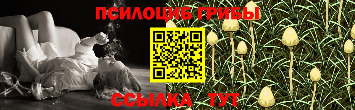 Елабуга  Галлюциногенные грибы прущие грибы  Вход с VPN 