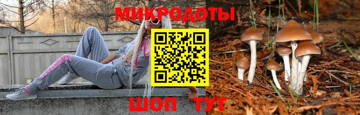 Псилоцибиновые грибы Cubensis Елабуга