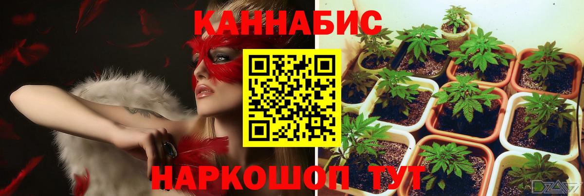 Канабис THC 21% Елабуга